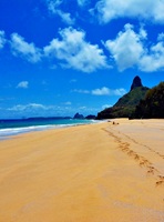 Fernando de Noronha Brazil 28